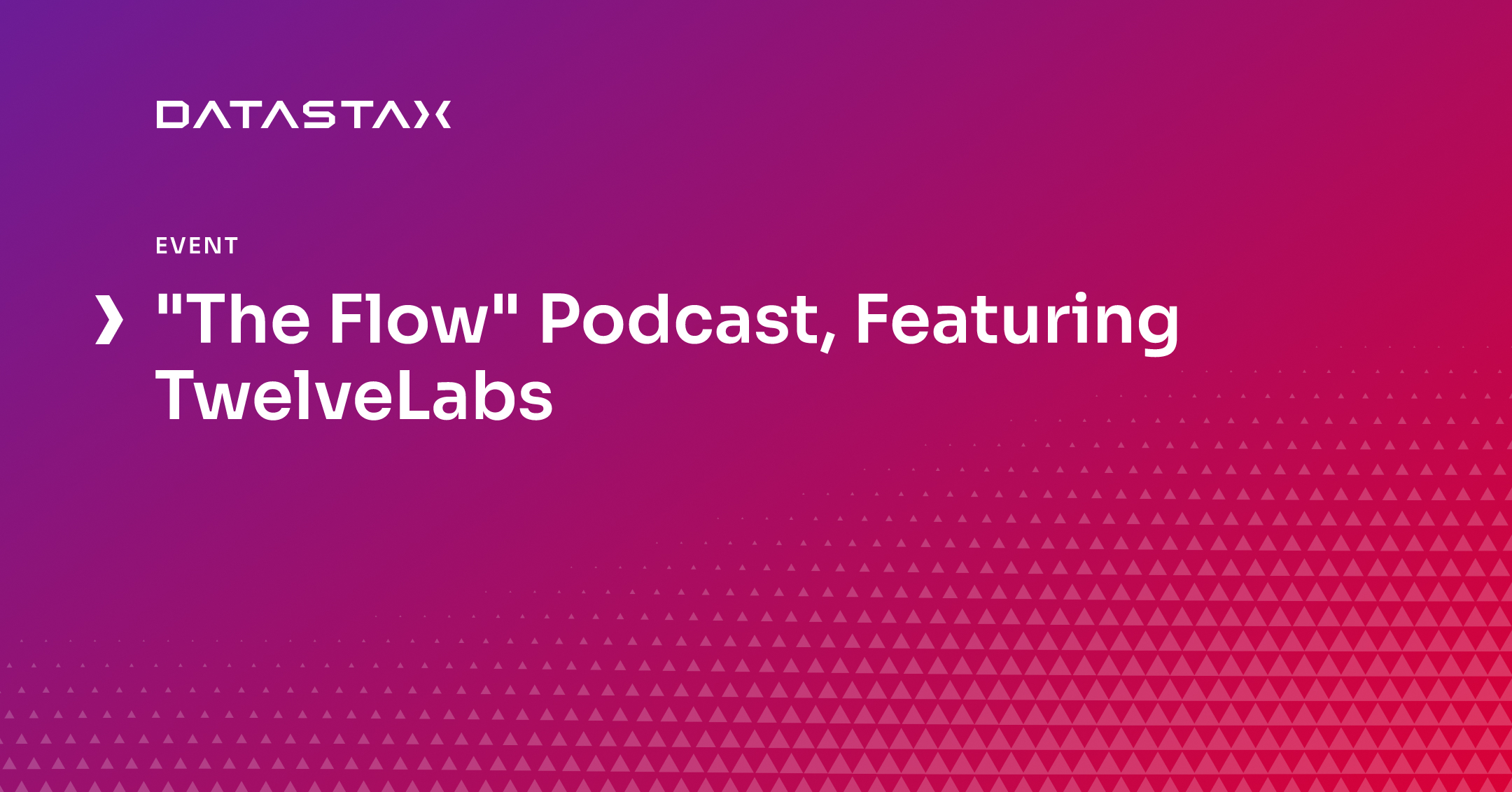 "The Flow" Podcast, Featuring TwelveLabs